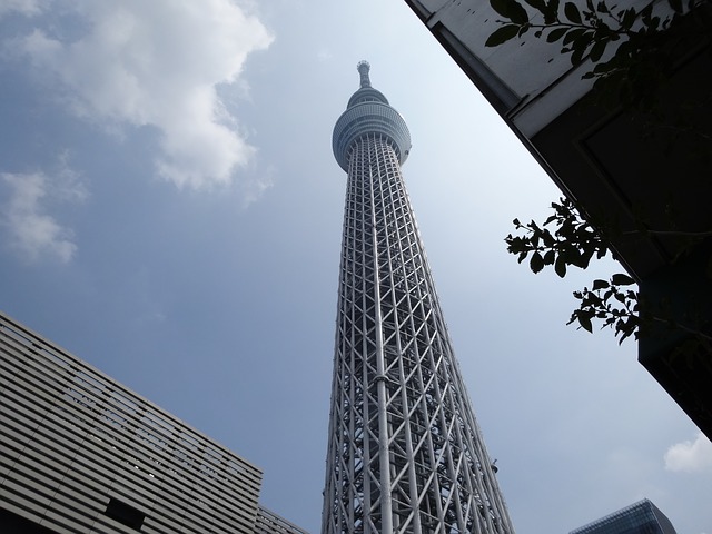 Sky tree seen from below